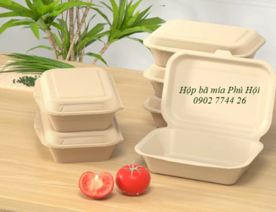 Hộp bã mía 1 ngăn nắp liền 450ml